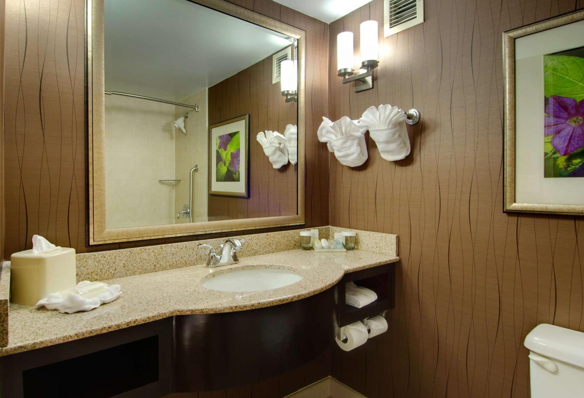 Hilton Garden Inn Raleigh Durham Airport Morrisville Exterior photo